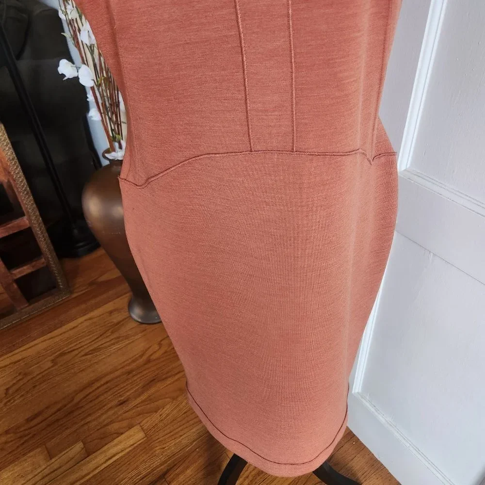 Buchanan and Kang Burnt Orange Sleeveless Sheath Dress Sz 6 NWOT - Picture 4 of 9